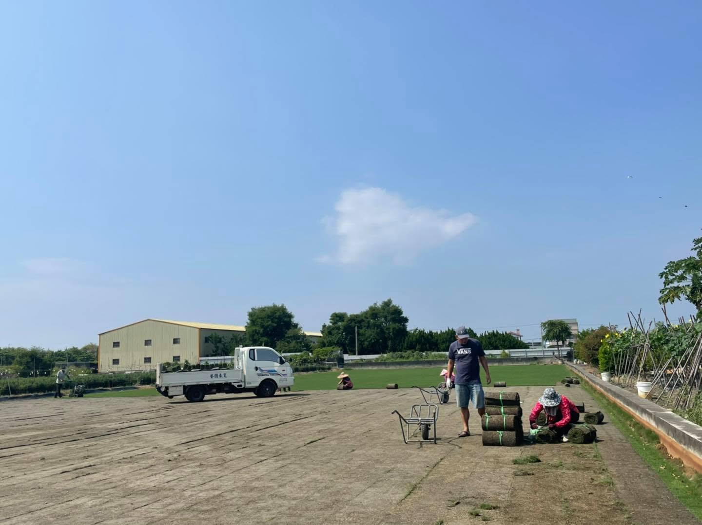 草皮農場裝車作業實景